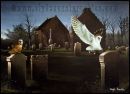 Loudoun Kirk Galston