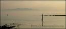 Misty Arran