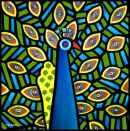 Psychedelic Peacock