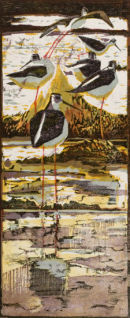 Black-winged Stilts