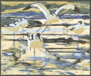 Avocets
SORRY SOLD OUT