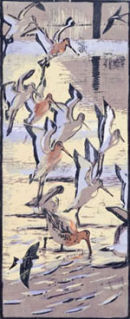 Black-tailed Godwits