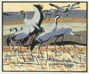 Cranes