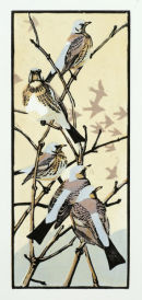 Winter Thrushes