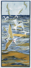 Fishing Terns