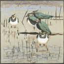 Lapwings