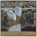 Little Egrets