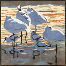 Spoonbills and Avocets