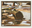 Turnstones