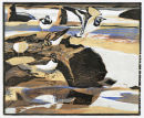 Turnstones