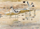 Avocet Family
�495.00 
SOLD