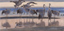 Cranes at Sunset 
�590.00