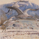 Cranes Flying In
�450.00
SOLD