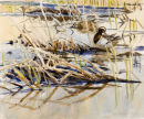Garganey and Sand Martins 
�560.00