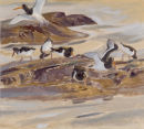 Oystercatchers
�650.00