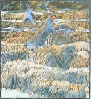 Partridges and Swallows