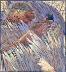 Sparring Pheasants