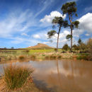 Roseberry Topping fron Eryholme Farm.