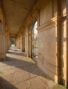 Afternoon sun