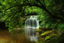 West Burton Falls 