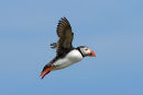 Cleared for landing!