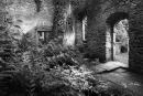 Ruined Church