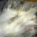 Glistening water