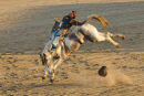 Ride 'em cowboy!