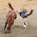 Hang on to your Stetson