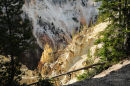 Afternoon light in the Grand Canyon of Yellowstone