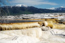 Mammoth Hot Springs