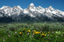 Springtime in the Tetons
