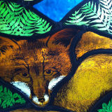 Fox detail