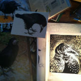 Rook, on glass