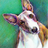 Charlie