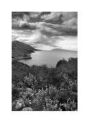 ithaka view 2