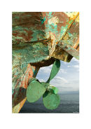 propeller