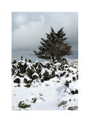 snowy rocks