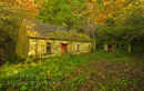 Abandoned Cottage. Doon. Co. Leitrim