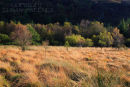 Early  Autumn. Glendalough. Co. Wicklow