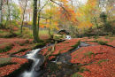Bridge  at  Cloughlea . Co. Wicklow