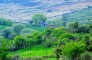 The  Burren  Region  . Co. Cavan