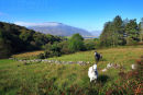Connemara  Landscape. Co. Mayo . Ireland