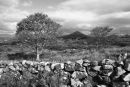 Connemara  Countryside