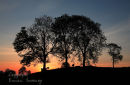 Acountry morning. Co. Leitrim