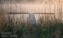 Dawn Corgar Lake. Co. Leitrim