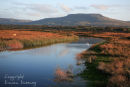 Drowes  River. Co. Leitrim