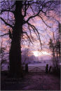 Morning Frost . Lough Key. Co. Roscommon . Ireland.