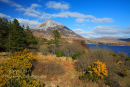 Errigal  Mountain . Co. Donegal