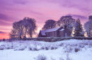 Fenagh  Church . Co. Leitrim. Ireland .